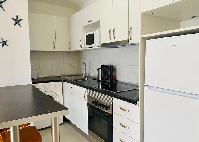 Moon 플라야데라스아메리카스