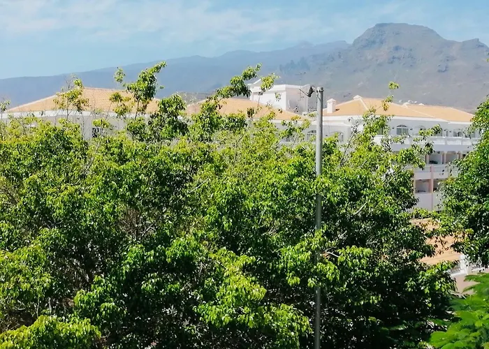 Moon * 플라야데라스아메리카스