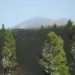 ムーン *